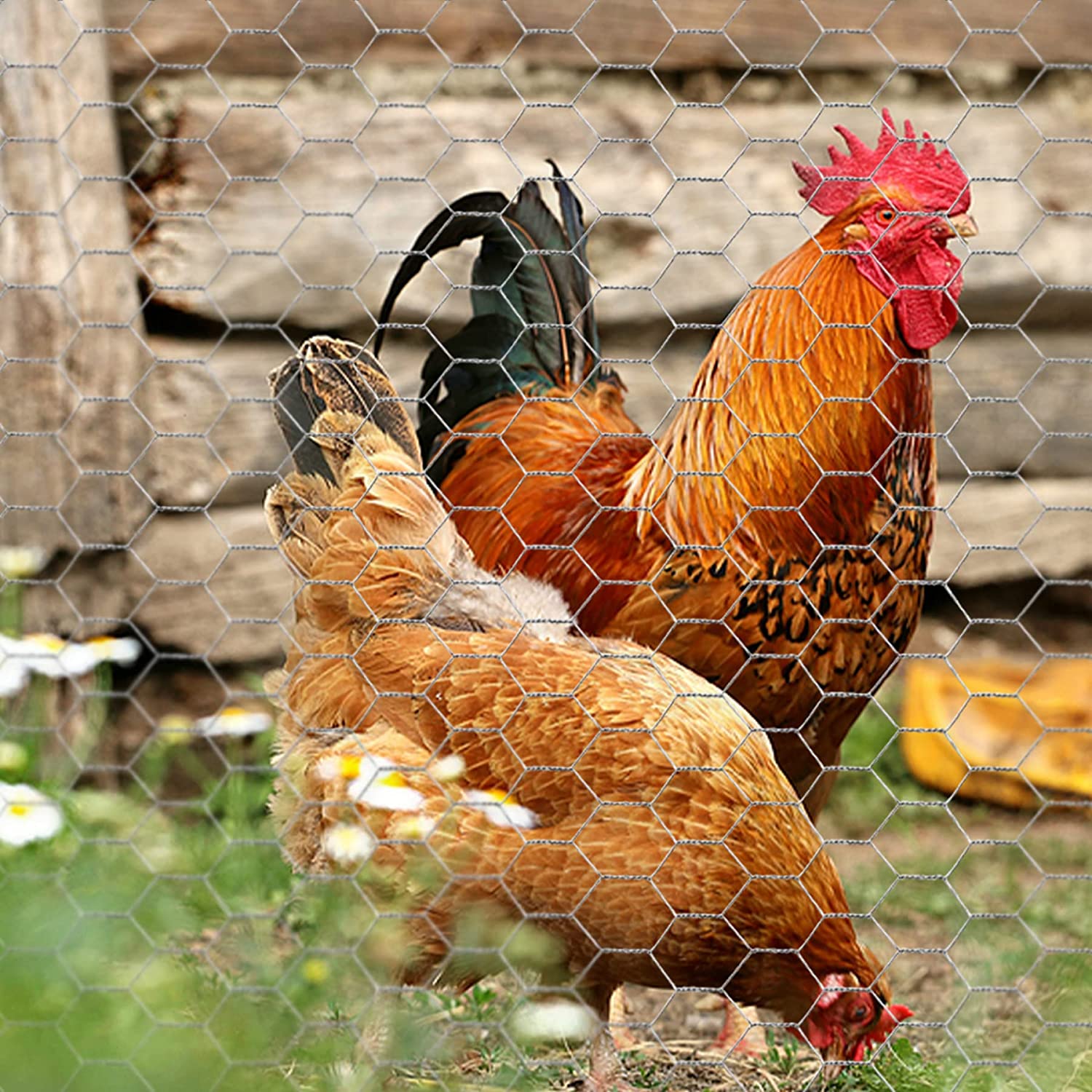 poultry net